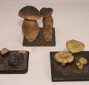 Plaster mushroom models