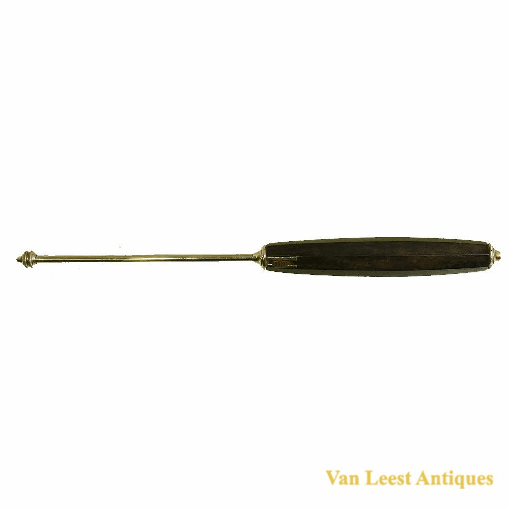 Polyp Picker Instrument Instrument for removing polyps - Van Leest Antiques