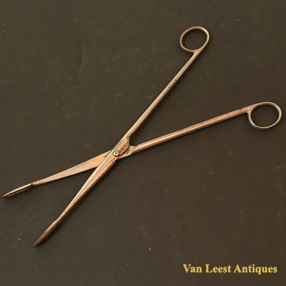 Embruotomy Scissors Embryotomy forceps - Van Leest Antiques